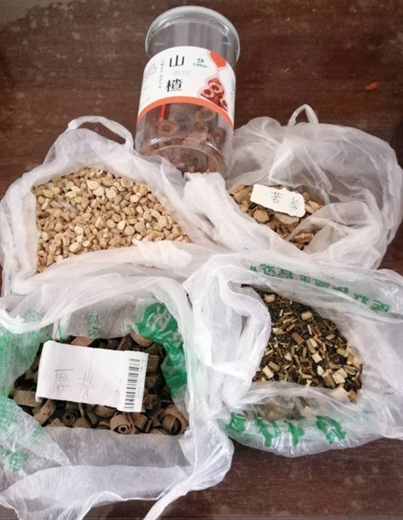 青岛泽生弓形虫病研究所