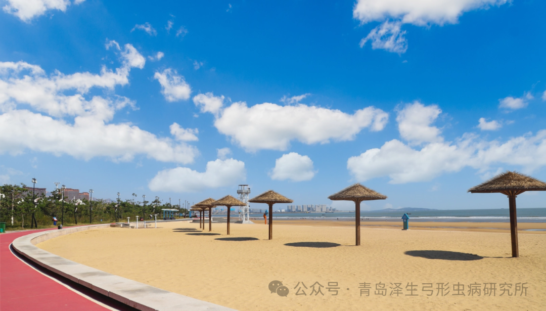 青岛泽生弓形虫病研究所 图片