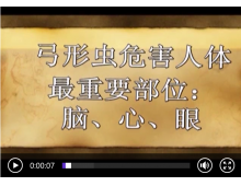 弓形虫对脑、心脏、眼的感染