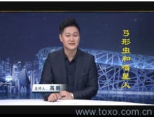 喵星人真的是弓形虫病元凶吗？