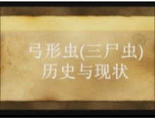 弓形虫病研究历史与现状