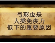 弓形虫使人患免疫性疾病